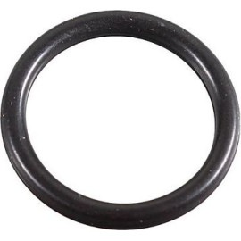 Dichtring 2430125