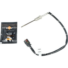Sensor, Abgastemperatur 707485