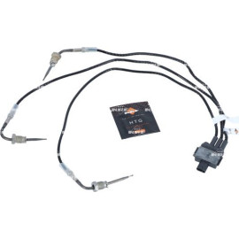 Sensor, Abgastemperatur 707378