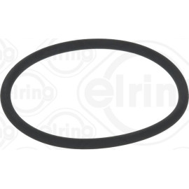 Dichtring 789.970 Dichtring 789.970