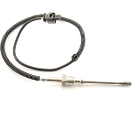 Sensor, Abgastemperatur 9 8002 1