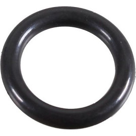 Dichtring 2430069