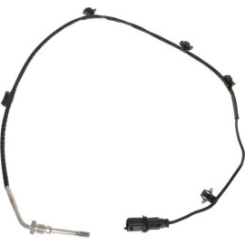 Sensor, Abgastemperatur 368863