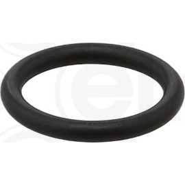 Dichtring 255.580