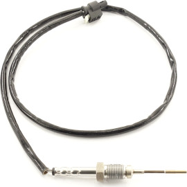 Sensor, Abgastemperatur 9 8096 1