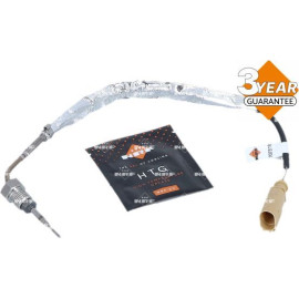 Sensor, Abgastemperatur 707398