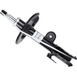 Stoßdämpfer 316 986