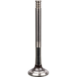 FEBI BILSTEIN 21008 Auslassventil FEBI BILSTEIN 21008 Auslassventil