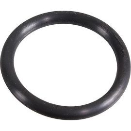 Dichtring 2430117