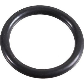 Dichtring 2430041