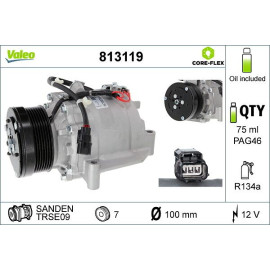 Kompressor, Klimaanlage 813119