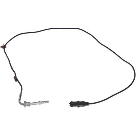 Sensor, Abgastemperatur 369052