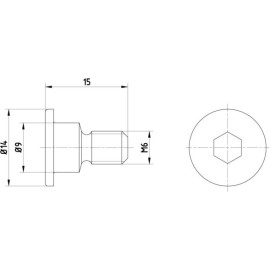 Schraube, Bremsscheibe TPM0001
