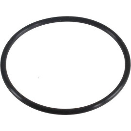 Dichtring 2430137