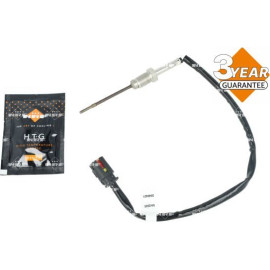 Sensor, Abgastemperatur 707485