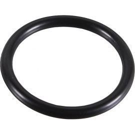 Dichtring 2430023