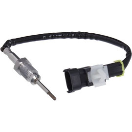 Sensor, Abgastemperatur 368831