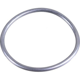 Dichtring 2430020