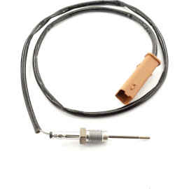 Sensor, Abgastemperatur 9 8144 1