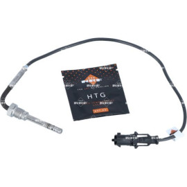 Sensor, Abgastemperatur 707168