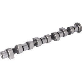 FEBI BILSTEIN 03124 Nockenwelle FEBI BILSTEIN 03124 Nockenwelle
