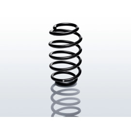 Fahrwerksfeder F2019001