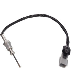 Sensor, Abgastemperatur 369053