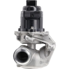 AGR-Ventil 700474