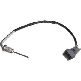 Sensor, Abgastemperatur 369032