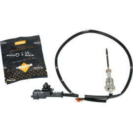 Sensor, Abgastemperatur 707543