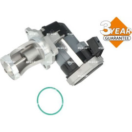 AGR-Ventil 48730