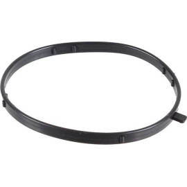 Dichtring 2430080