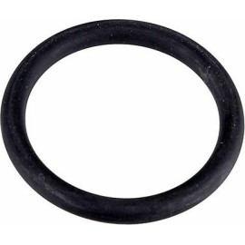 Dichtring 2430156