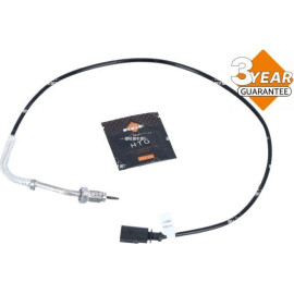 Sensor, Abgastemperatur 707405
