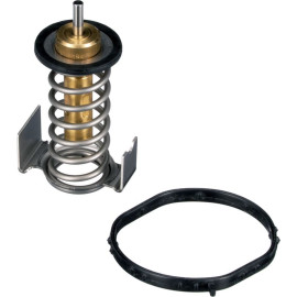 Thermostat, Kühlmittel TH64290G1