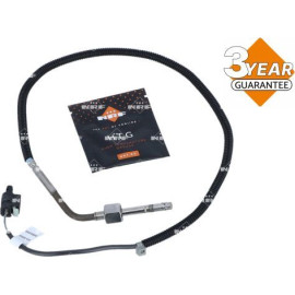 Sensor, Abgastemperatur 707094