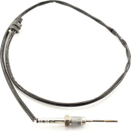Sensor, Abgastemperatur 9 8100 1