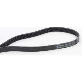 Keilrippenriemen 6PK1453