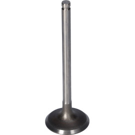 FEBI BILSTEIN 181650 Einlassventil FEBI BILSTEIN 181650 Einlassventil