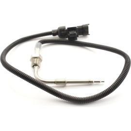 Sensor, Abgastemperatur 9 8141 1