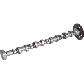 FEBI BILSTEIN 178379 Nockenwelle FEBI BILSTEIN 178379 Nockenwelle