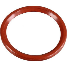 Dichtring 2430092