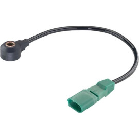 Klopfsensor S107583008Z Klopfsensor S107583008Z