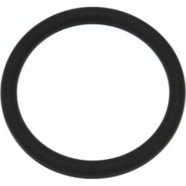 Dichtring 165.520