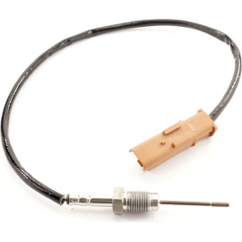 Sensor, Abgastemperatur 9 8145 1