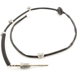 Sensor, Abgastemperatur 9 8095 1