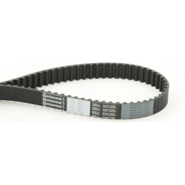 Zahnriemen CT981