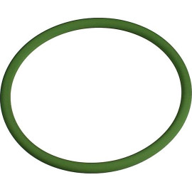 Dichtring 2430153