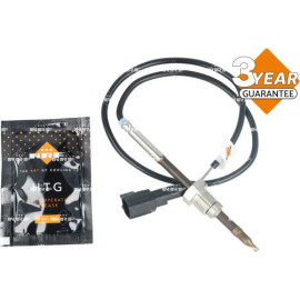 Sensor, Abgastemperatur 707501