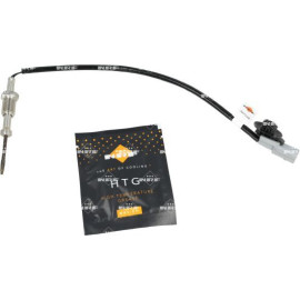 Sensor, Abgastemperatur 707538